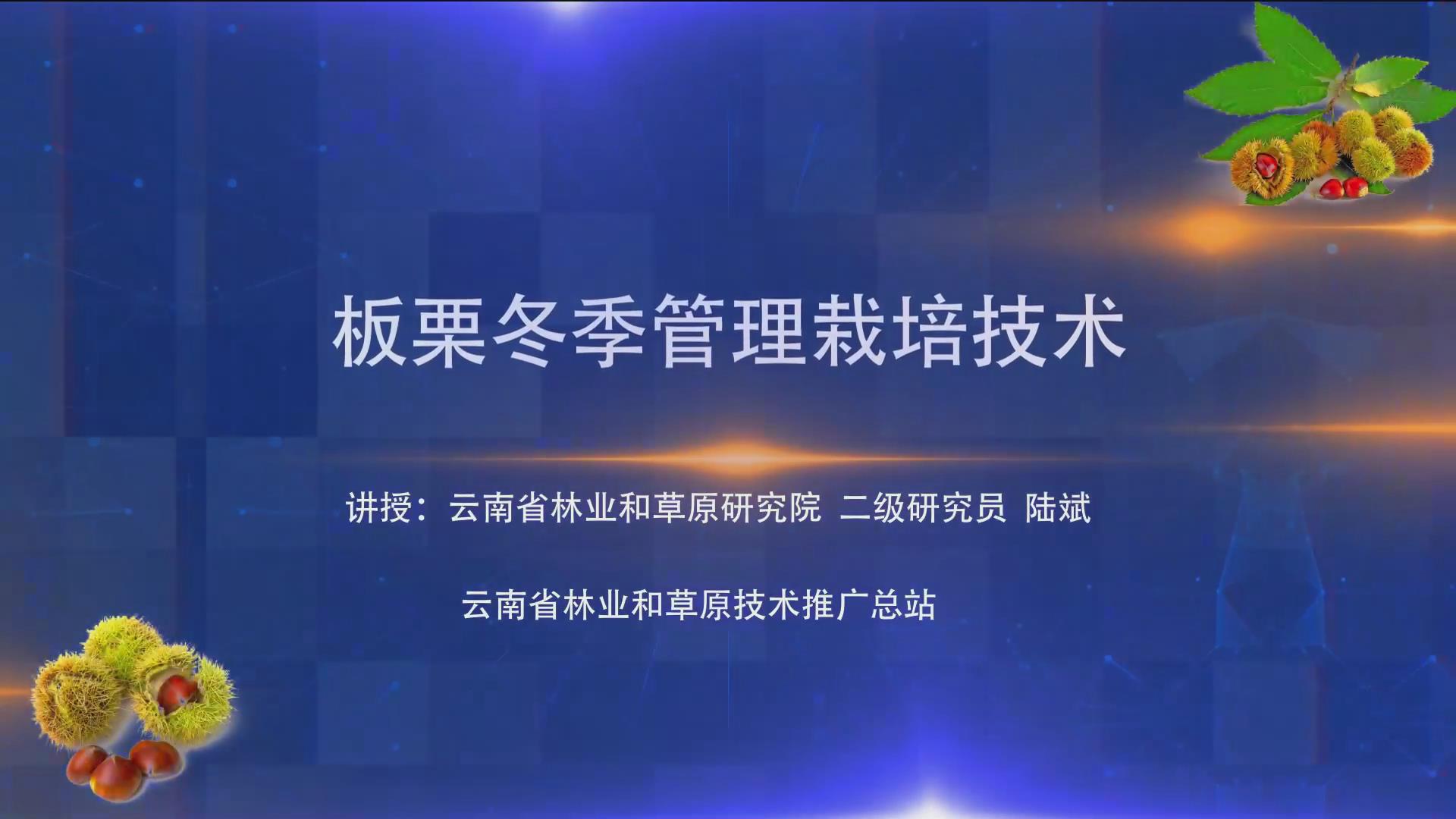 板栗冬季管理栽培技术(上)